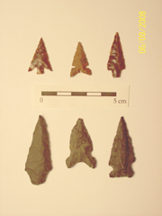 Arrow points (top) were refined and reworked through experimentation often using dart points (bottom) as a starting place.  The difference in size and neck/stem width between arrow points and dart points is observable in this photo.
